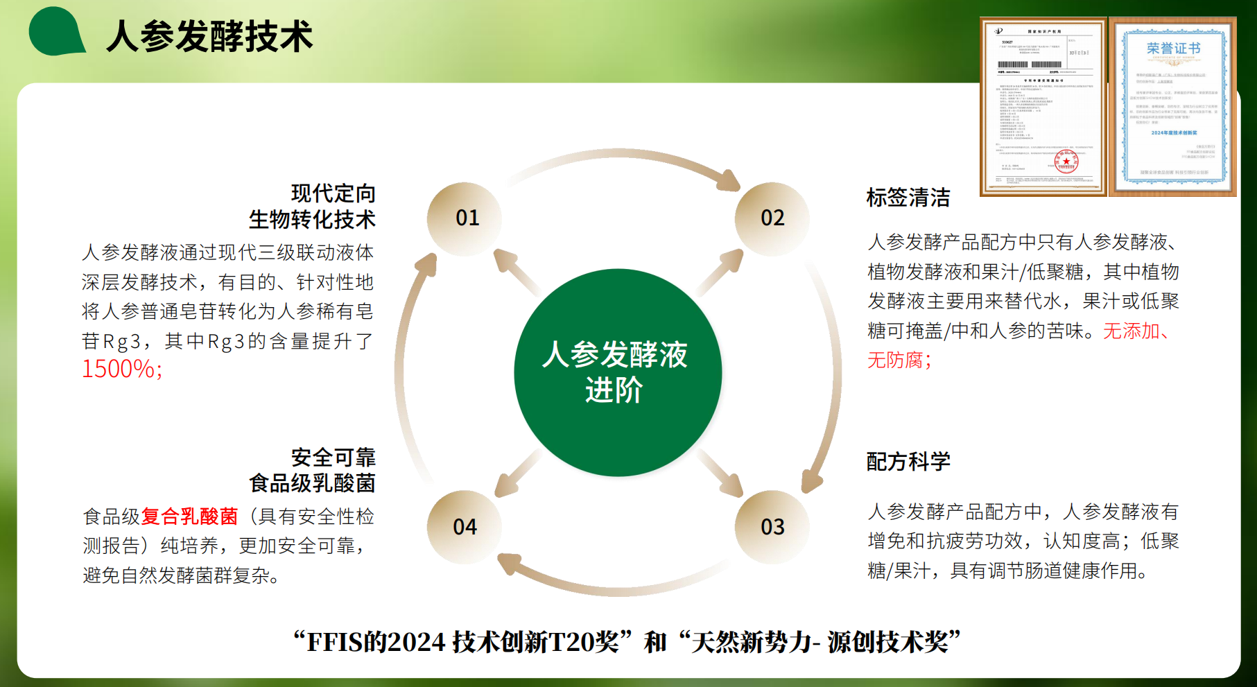 人參發酵技術2